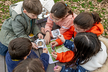 Les enfants essaient de reconnaître les animaux décomposeurs du compost à l'aide de photos et de descriptions
